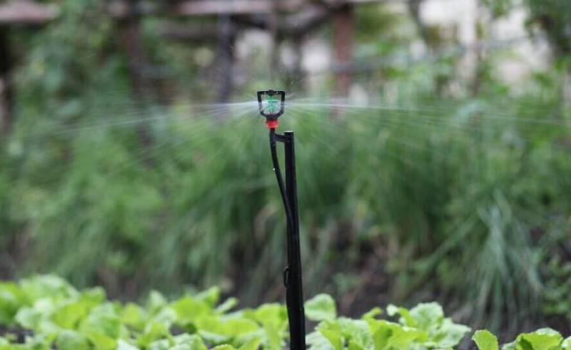 micro-sprinkler-irrigation