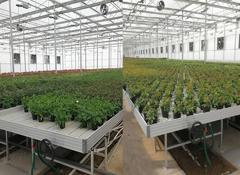 greenhouse-rolling-bench-growing-system